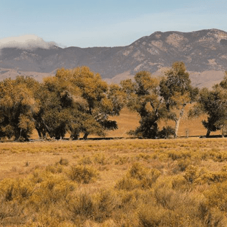 Centennial-Tejon-Ranch-Thumbnail